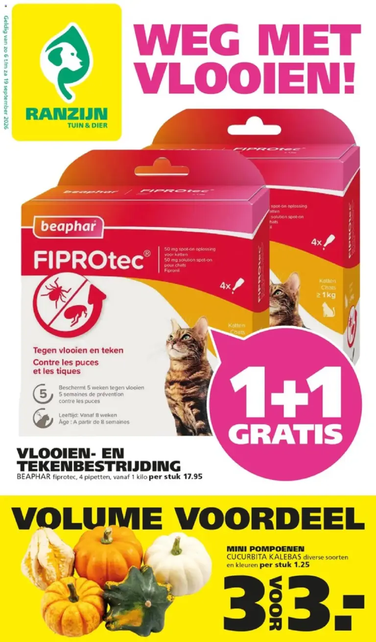 Ranzijn folder vanaf 06/09/2026