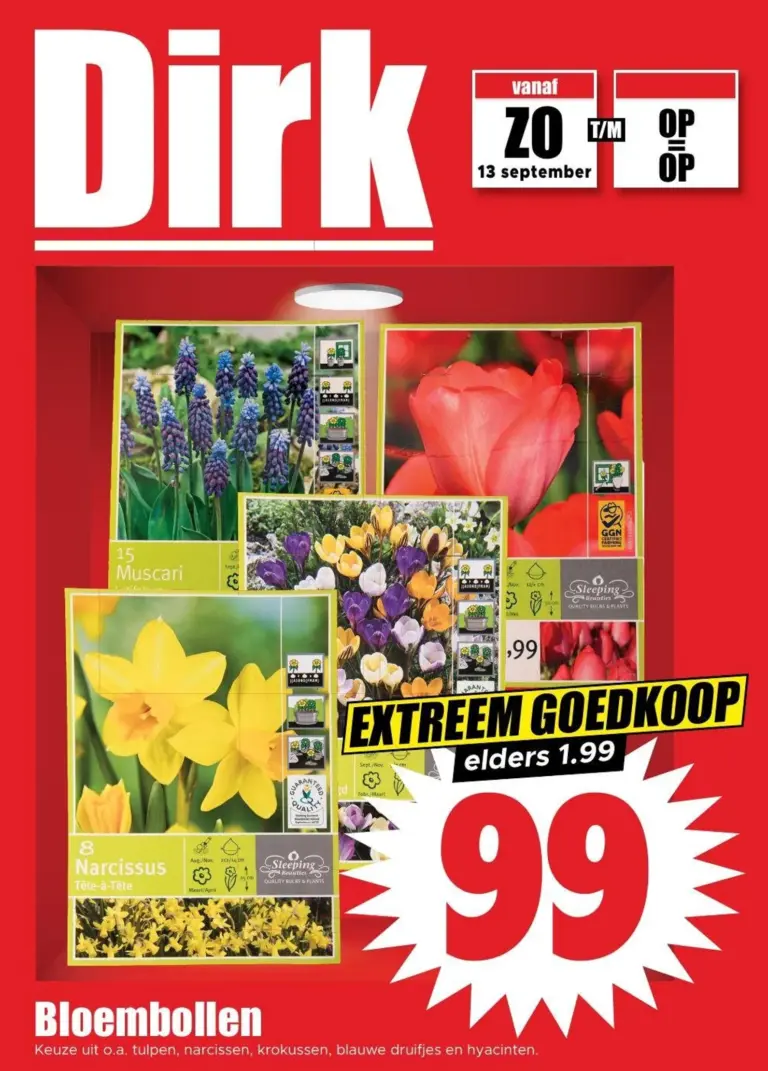 Dirk folder vanaf 13/09/2026